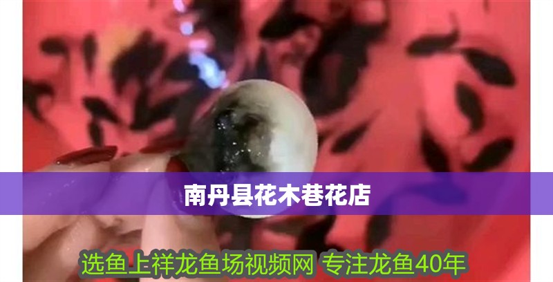 <strong><mark>南丹</mark></strong>縣花木巷花店