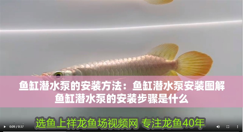 魚缸潛水泵的安裝方法：魚缸潛水泵安裝圖解魚缸潛水泵的安裝步驟是什么 魚缸潛水泵的安裝方法：魚缸潛水泵安裝圖解魚缸潛水泵的安裝步驟是什么 魚缸百科