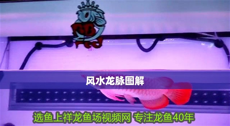 風(fēng)水龍脈圖解