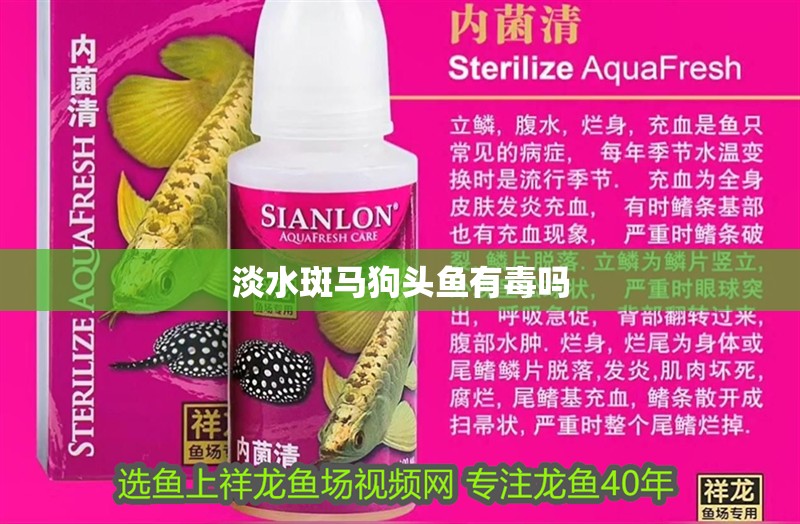 淡水斑馬狗頭魚有毒嗎