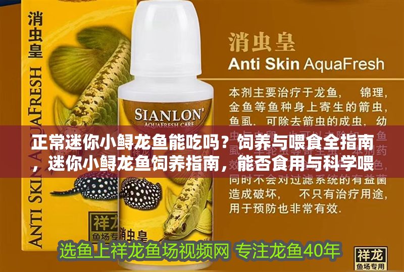 正常迷你小鱘龍魚能吃嗎？飼養與喂食全指南，迷你小鱘龍魚飼養指南，能否食用與科學喂食全解析 正常迷你小鱘龍魚能吃嗎？飼養與喂食全指南，迷你小鱘龍魚飼養指南，能否食用與科學喂食全解析 龍魚百科 第1張