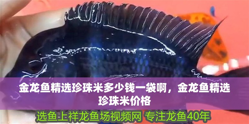 金龍魚精選珍珠米多少錢一袋啊，金龍魚精選珍珠米價格