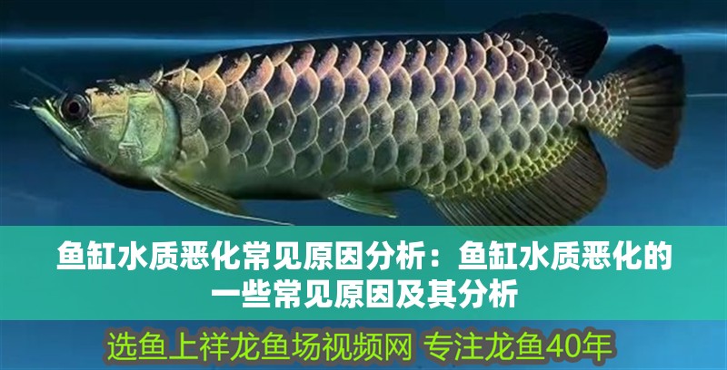 魚缸水質惡化常見原因分析：魚缸水質惡化的一些常見原因及其分析
