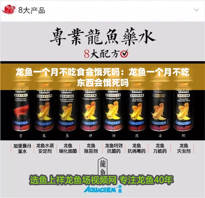 龍魚一個(gè)月不吃食會(huì)餓死嗎：龍魚一個(gè)月不吃東西會(huì)餓死嗎