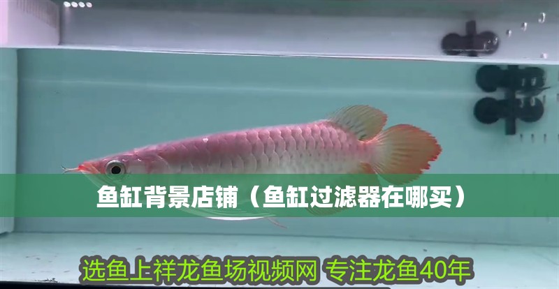 魚缸背景店鋪（魚缸過(guò)濾器在哪買）