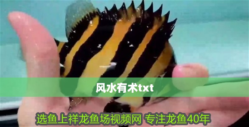 風水有術txt