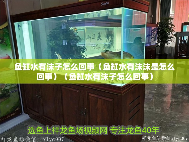 魚缸水有沫子怎么回事（魚缸水有沫沫是怎么回事）（魚缸水有沫子怎么回事） 魚缸水有沫子怎么回事（魚缸水有沫沫是怎么回事）（魚缸水有沫子怎么回事） 魚缸百科