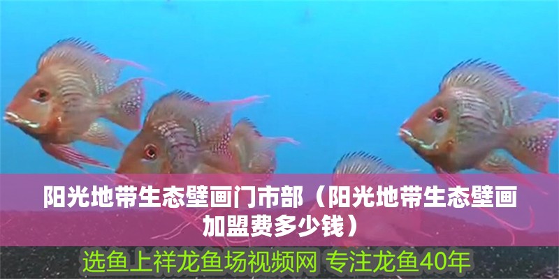 陽光地帶生態壁畫門市部（陽光地帶生態壁畫加盟費多少錢）