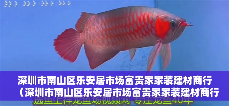 深圳市南山區樂<strong><mark>安居</mark></strong>市場富貴家家裝建材商行（深圳市南山區樂<strong><mark>安居</mark></strong>市場富貴家家裝建材商行電話）