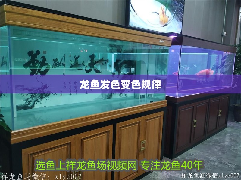 龍魚發(fā)色變色規(guī)律