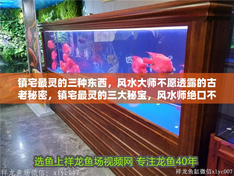 鎮宅最靈的三種東西，風水大師不愿透露的古老秘密，鎮宅最靈的三大秘寶，風水師絕口不提的千年禁忌