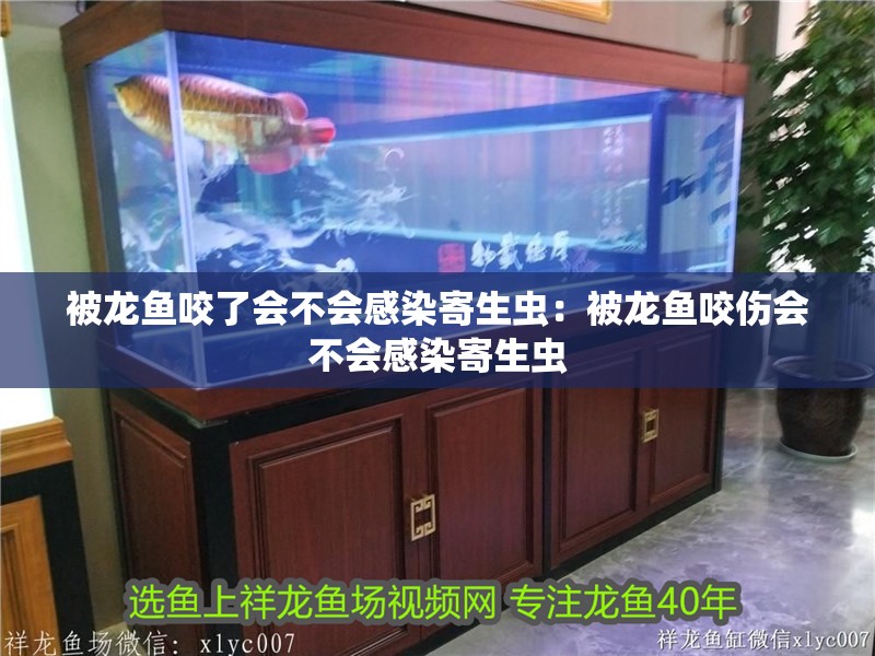 被龍魚咬了會不會感染寄生蟲：被龍魚咬傷會不會感染寄生蟲