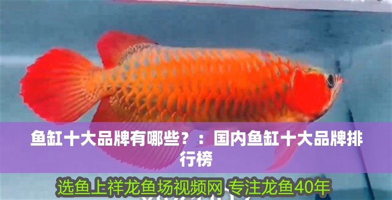 魚缸十大品牌有哪些？：國(guó)內(nèi)魚缸十大品牌排行榜