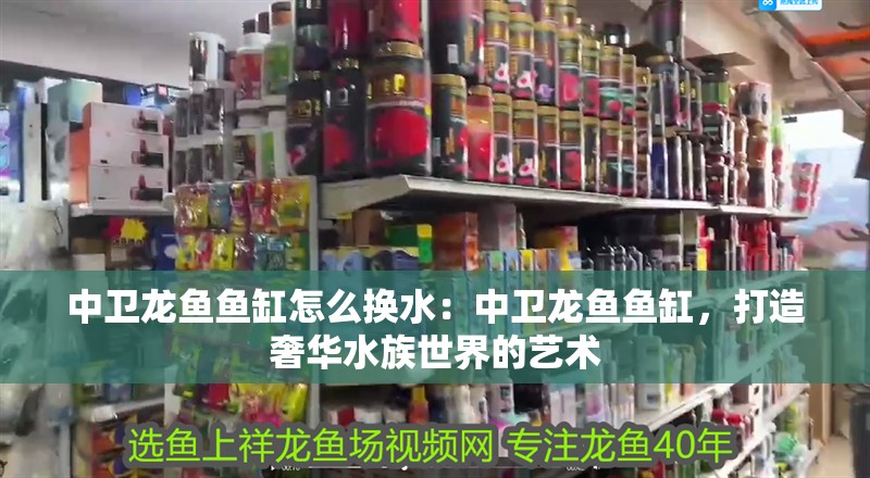 中衛(wèi)龍魚魚缸怎么換水：中衛(wèi)龍魚魚缸，打造奢華水族世界的藝術(shù)