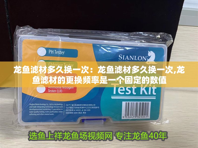 龍魚濾材多久換一次：龍魚濾材多久換一次,龍魚濾材的更換頻率是一個固定的數值