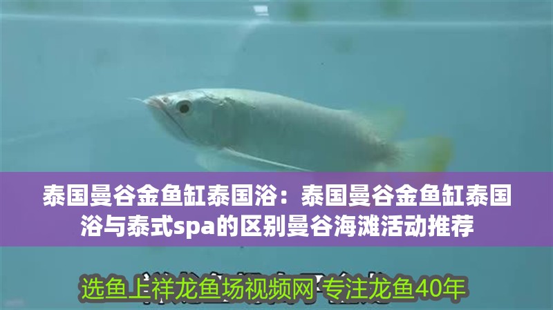 泰國曼谷金魚缸泰國浴：泰國曼谷金魚缸泰國浴與泰式spa的區別曼谷海灘活動推薦