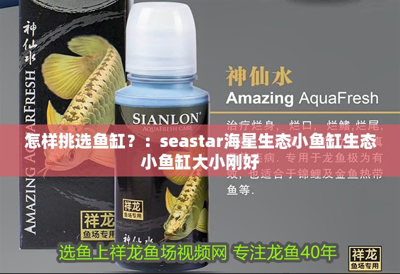 怎樣挑選魚缸？：seastar海星生態小魚缸生態小魚缸大小剛好