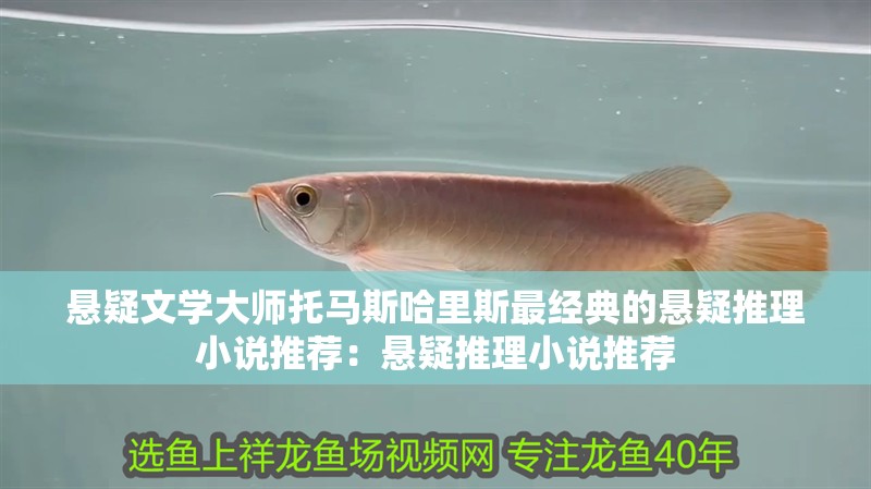 懸疑文學大師托馬斯哈里斯最經典的懸疑推理小說推薦：懸疑推理小說推薦