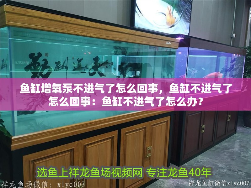 魚缸增氧泵不進(jìn)氣了怎么回事，魚缸不進(jìn)氣了怎么回事：魚缸不進(jìn)氣了怎么辦？