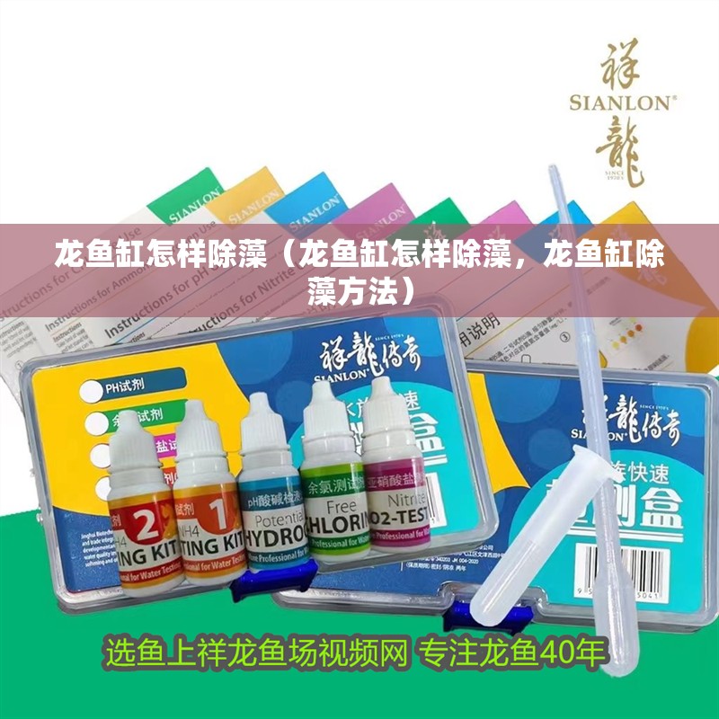 龍魚缸怎樣除藻（龍魚缸怎樣除藻，龍魚缸除藻方法）