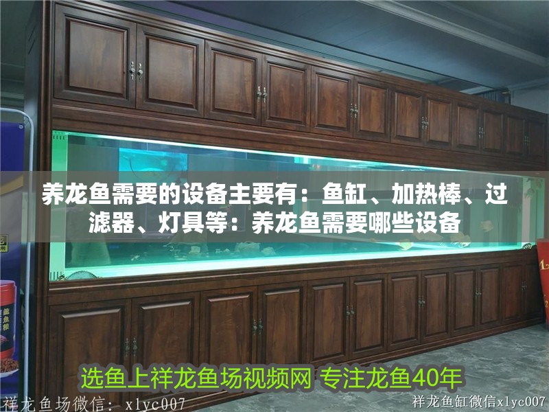 養龍魚需要的設備主要有：魚缸、加熱棒、過濾器、燈具等：養龍魚需要哪些設備 養龍魚需要的設備主要有：魚缸、加熱棒、過濾器、燈具等：養龍魚需要哪些設備 龍魚百科