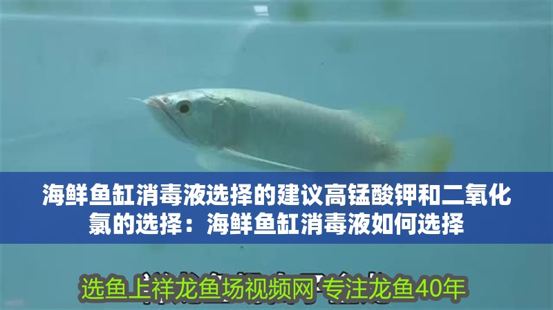 魚缸用增氧泵價格是多少:魚缸增氧機-xtrac增氧機-xtrac增氧機 海鮮魚缸消毒液選擇的建議高錳酸鉀和二氧化氯的選擇:海鮮魚缸消毒液如何選擇 魚缸百科 海鮮魚缸消毒液選擇的建議高錳酸鉀和二氧化氯的選擇:海鮮魚缸消毒液如何選擇 海鮮魚缸消毒液選擇的建議高錳酸鉀和二氧化氯的選擇:海鮮魚缸消毒液如何選擇 魚缸百科