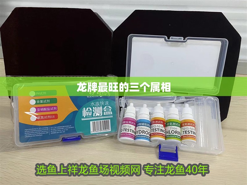 龍牌最旺的三個屬相 龍牌最旺的三個屬相 龍魚論壇