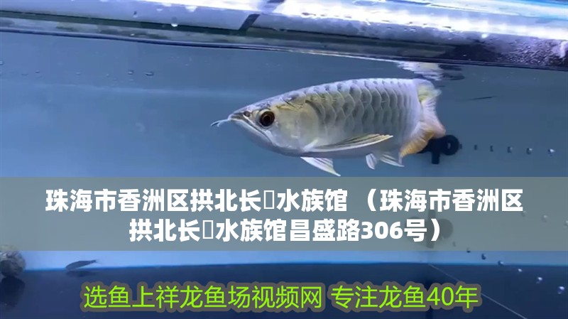 珠海市香洲區拱北長魟水族館 （珠海市香洲區拱北長魟水族館昌盛路306號）