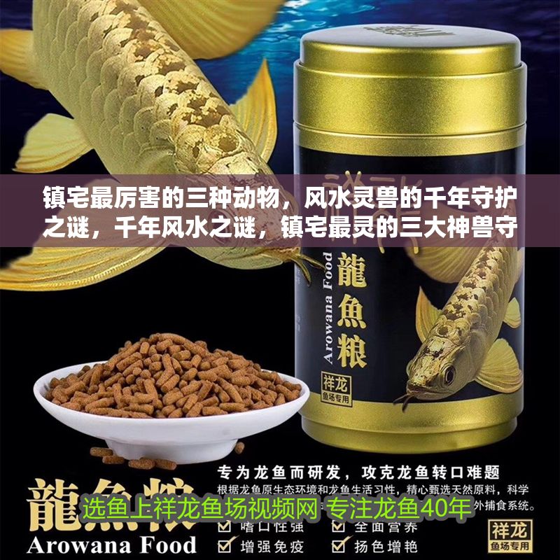 鎮(zhèn)宅最厲害的三種動物，風水靈獸的千年守護之謎，千年風水之謎，鎮(zhèn)宅最靈的三大神獸守護秘辛