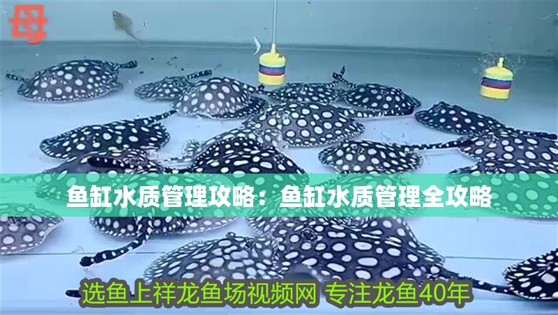 魚缸用增氧泵價格是多少:魚缸增氧機-xtrac增氧機-xtrac增氧機 魚缸水質管理攻略:魚缸水質管理全攻略 魚缸百科 魚缸水質管理攻略:魚缸水質管理全攻略 魚缸水質管理攻略:魚缸水質管理全攻略 魚缸百科