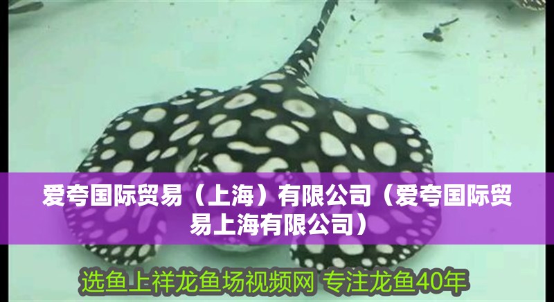 龍魚干蝦有營養嗎 愛夸國際貿易(上海)有限公司(愛夸國際貿易上海有限公司) 全國水族館企業名錄 愛夸國際貿易(上海)有限公司(愛夸國際貿易上海有限公司) 愛夸國際貿易(上海)有限公司(愛夸國際貿易上海有限公司) 全國水族館企業名錄