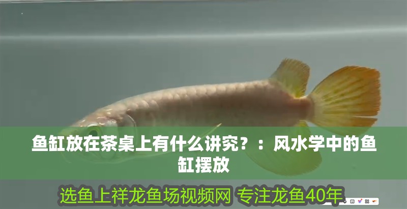 魚缸放在茶桌上有什么講究？：風水學中的魚缸擺放 魚缸放在茶桌上有什么講究？：風水學中的魚缸擺放 魚缸百科