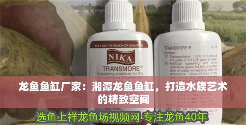 龍魚(yú)魚(yú)缸廠家：<strong><mark>湘潭</mark></strong>龍魚(yú)魚(yú)缸，打造水族藝術(shù)的精致空間