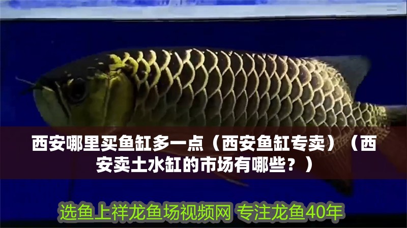 西安哪里買魚缸多一點（西安魚缸專賣）（西安賣土水缸的市場有哪些？） 西安哪里買魚缸多一點（西安魚缸專賣）（西安賣土水缸的市場有哪些？） 魚缸百科