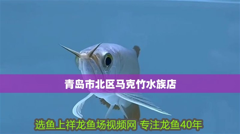 青島市北區馬克竹水族店