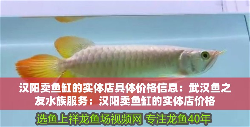 漢陽賣魚缸的實體店具體價格信息：武漢魚之友水族服務(wù)：漢陽賣魚缸的實體店價格