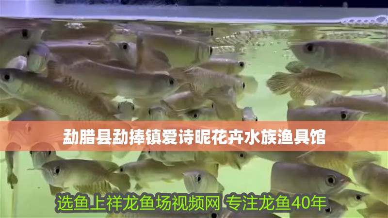 勐臘縣勐捧鎮愛詩昵花卉水族漁具館