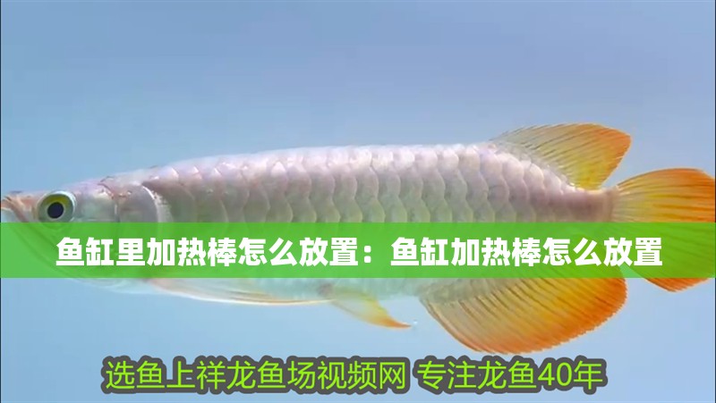 魚缸用增氧泵價格是多少:魚缸增氧機-xtrac增氧機-xtrac增氧機 魚缸里加熱棒怎么放置:魚缸加熱棒怎么放置 魚缸百科 魚缸里加熱棒怎么放置:魚缸加熱棒怎么放置 魚缸里加熱棒怎么放置:魚缸加熱棒怎么放置 魚缸百科