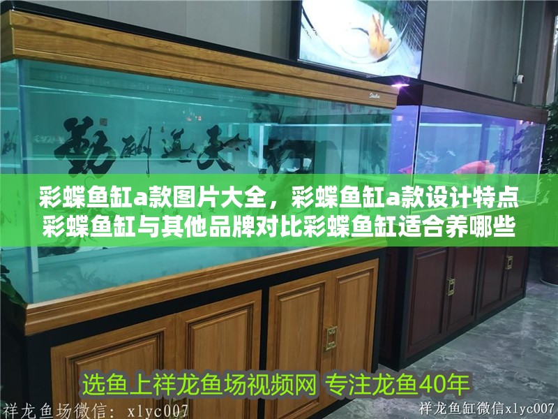 彩蝶魚缸a款圖片大全，彩蝶魚缸a款設計特點彩蝶魚缸與其他品牌對比彩蝶魚缸適合養哪些魚