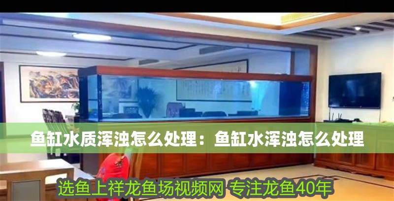 魚缸水質渾濁怎么處理：魚缸水渾濁怎么處理 魚缸水質渾濁怎么處理：魚缸水渾濁怎么處理 魚缸百科
