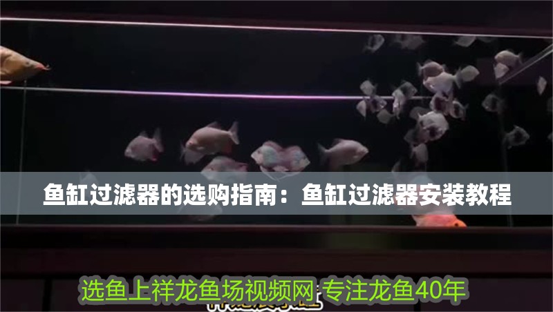 魚缸過(guò)濾器的選購(gòu)指南：魚缸過(guò)濾器安裝教程