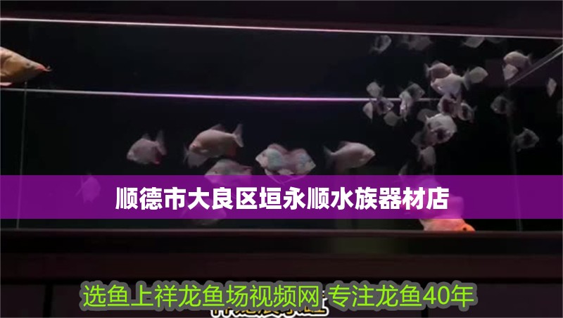 順德市大良區垣永順水族器材店 順德市大良區垣永順水族器材店 全國水族館企業名錄