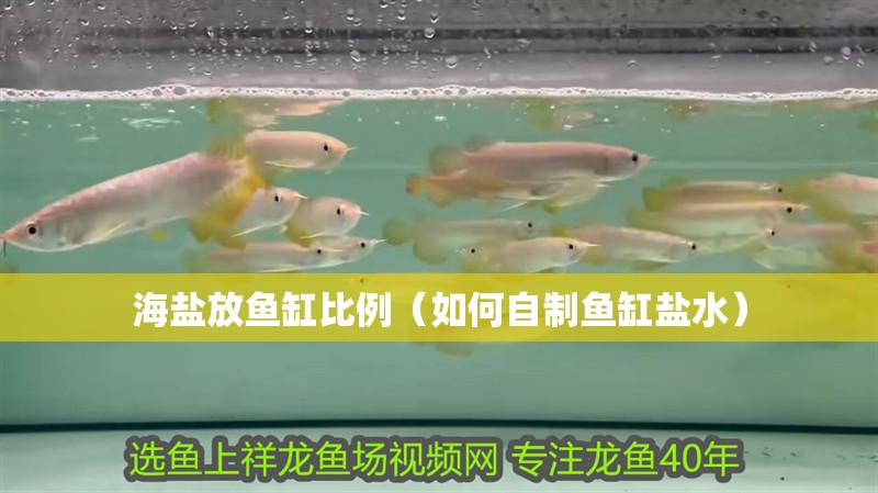 魚缸過濾器選購指南:自制魚缸過濾器魚缸上置過濾器對于養魚愛好者的必備知識 海鹽放魚缸比例(如何自制魚缸鹽水) 魚缸百科 海鹽放魚缸比例(如何自制魚缸鹽水) 海鹽放魚缸比例(如何自制魚缸鹽水) 魚缸百科