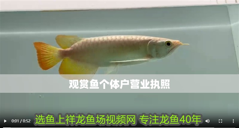 觀賞魚個體戶營業執照