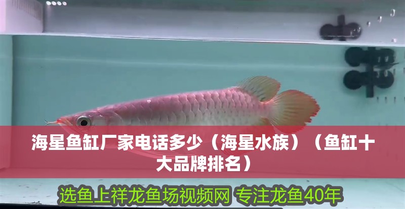 海星魚缸廠家電話多少（海星水族）（魚缸十大品牌排名）