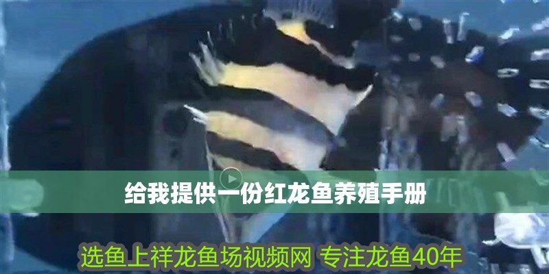 給我提供一份紅龍魚養(yǎng)殖手冊