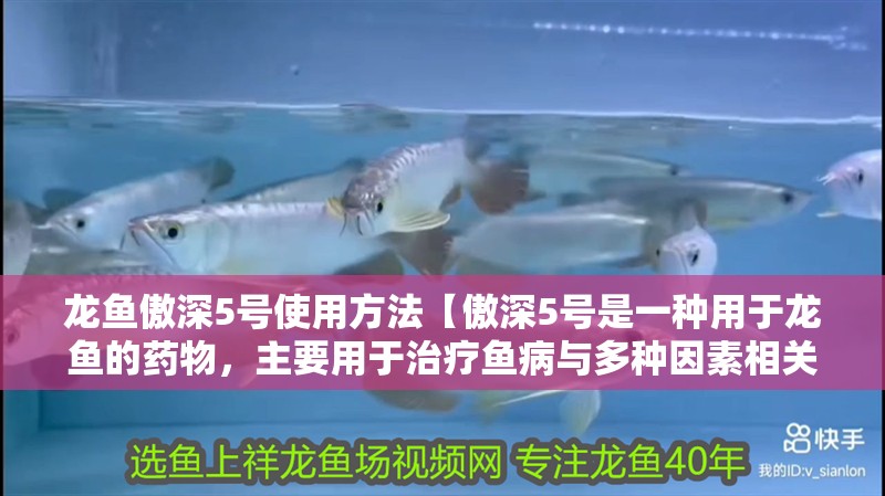 龍魚傲深5號使用方法【傲深5號是一種用于龍魚的藥物，主要用于治療魚病與多種因素相關(guān)】