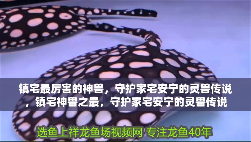 鎮宅最厲害的神獸，守護家宅安寧的靈獸傳說，鎮宅神獸之最，守護家宅安寧的靈獸傳說