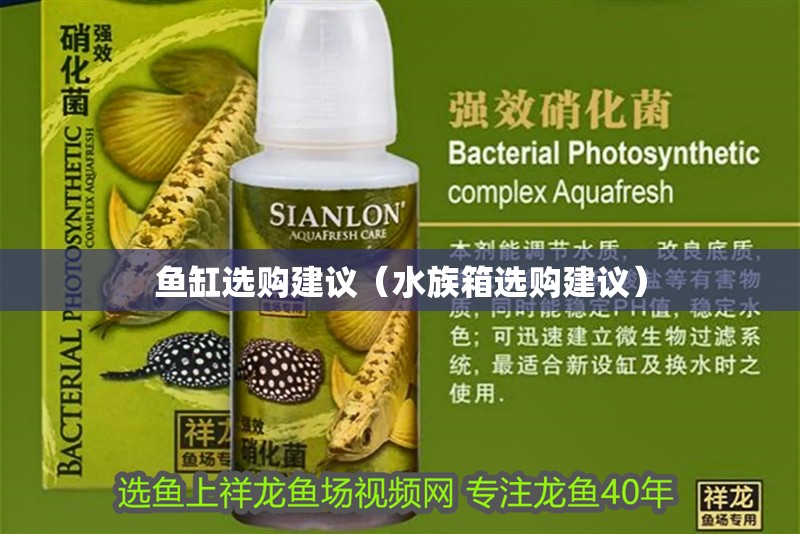 魚缸選購建議（水族箱選購建議）