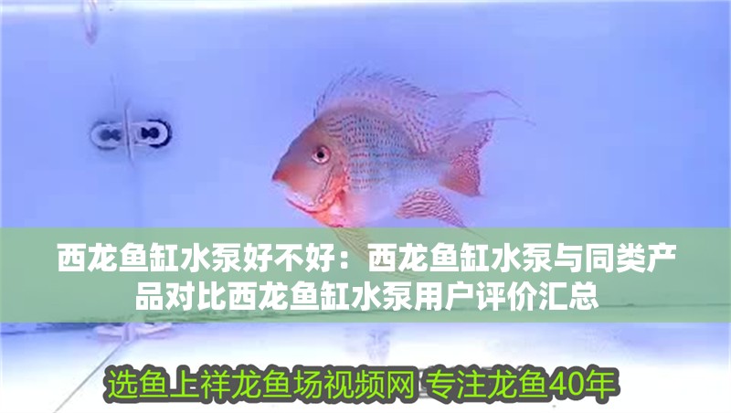 西龍魚缸水泵好不好：西龍魚缸水泵與同類產品對比西龍魚缸水泵用戶評價匯總
